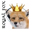 Royal Fox Estate Agents