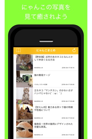 にゃんこまとめ - 可愛い猫の最新記事をまとめてお届け screenshot 2