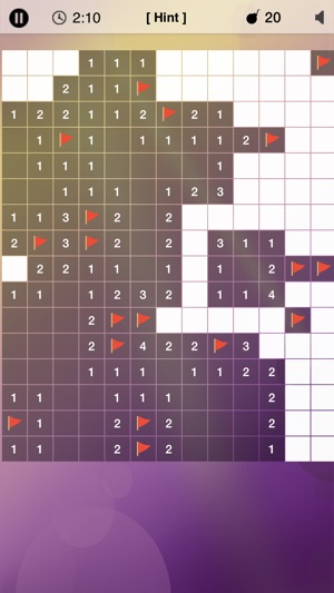 Minesweeper Puzzle