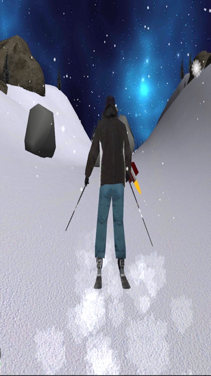 Sking Simulator Skii