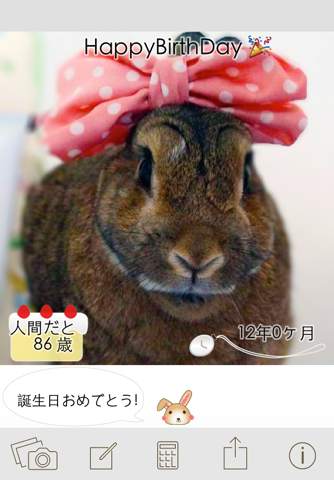 HowOldRabbit? Save pictures calculating the age of the pet Rabbit. screenshot 4