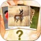 Have fun and guess the animal