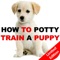 How To Potty Training A Puppy - Complete Guide