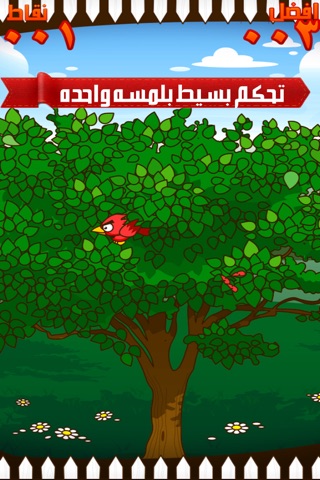طيران الطيور الحمراء المغردة - العاب ذكاء و خفة  red bird adventure screenshot 3