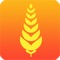 iBrewer is an application with many useful tools, ingredients, formulas and functionalities for who wants to brew his own handcrafted beer, whatever the brewing method
