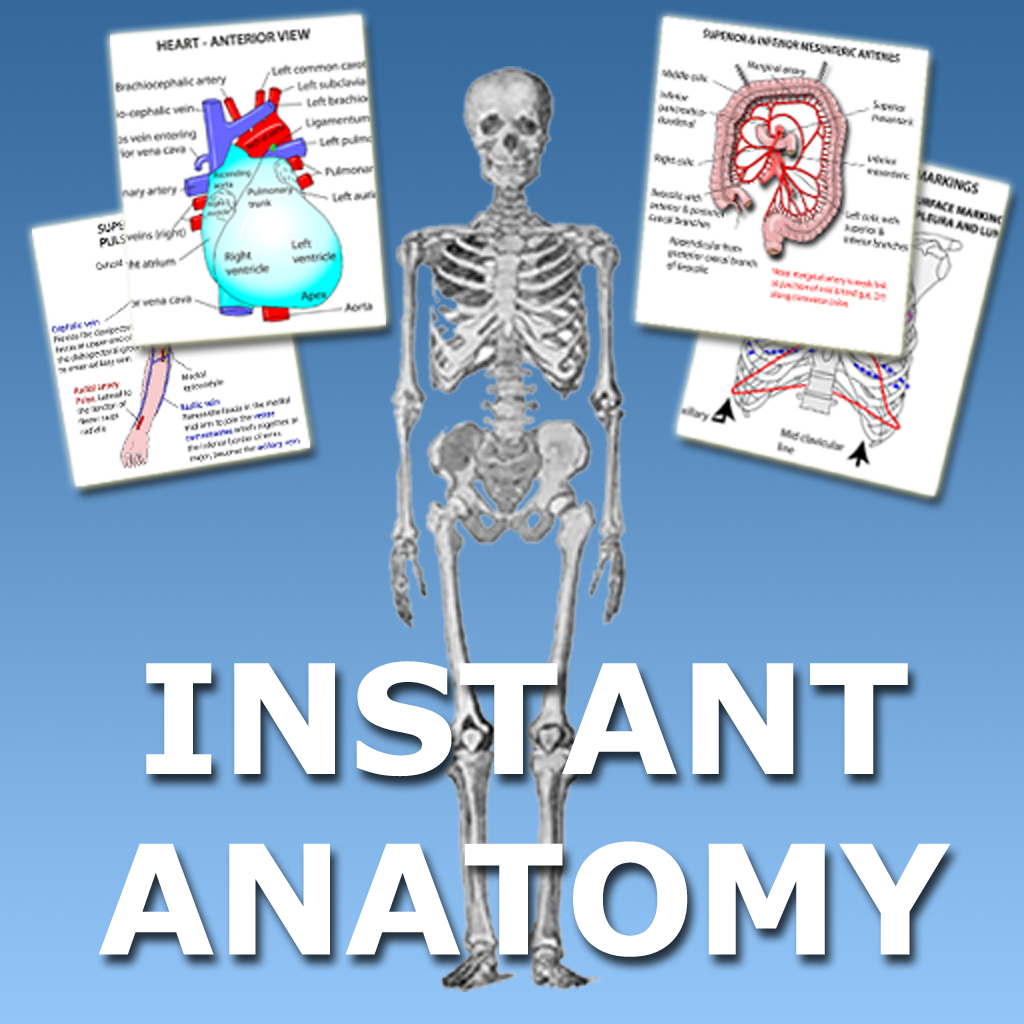 Instant Anatomy Flash Cards App Icon