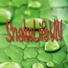 SnakeLifeVN