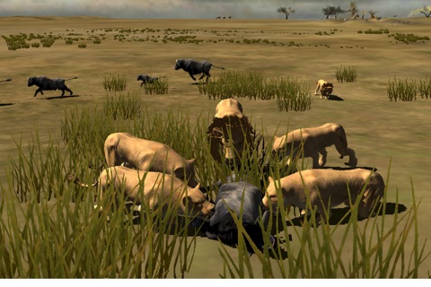 Africa Wild screenshot 2