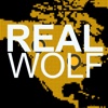Jordan Belfort- The Real Wolf of Wall Street