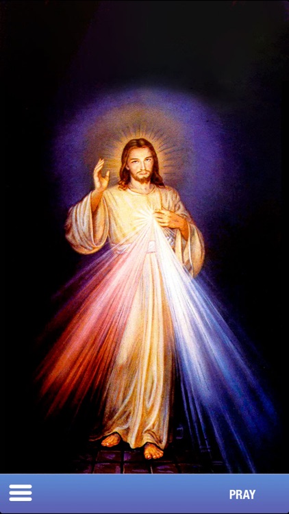 Divine Mercy Chaplet screenshot-3