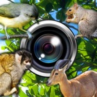 Top 28 Photo & Video Apps Like Observation Camera (silent) - Best Alternatives