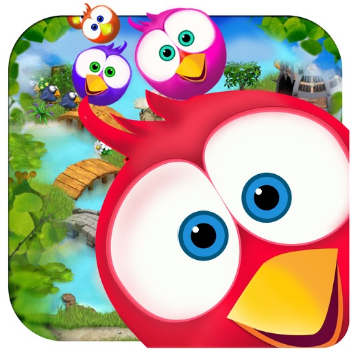 Cat & Birds iOS App