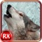Wolf Attack Simulator - Revenge of Wild Rampage Beast & Hunting Adventure