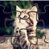 Cute Cat JigSaw Puzzle Game for Kids Free