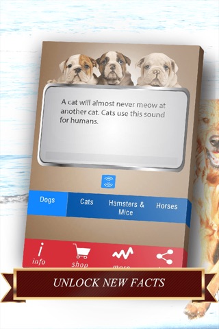 Pets Facts - Free Trivia for Animal Lovers screenshot 2