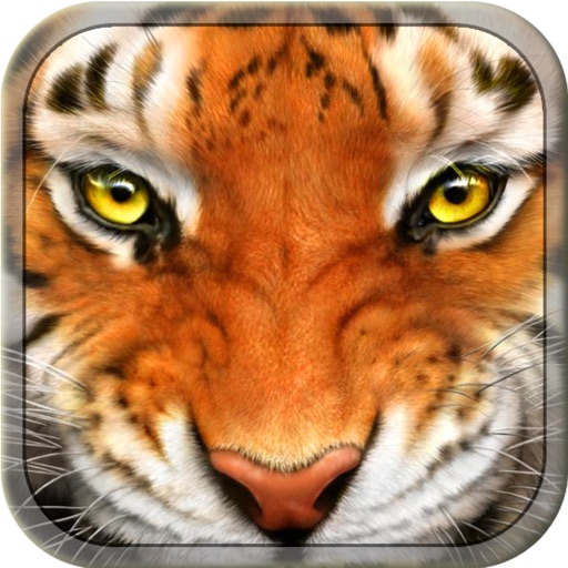 Tiger Simulator 3D Wildlife iOS App