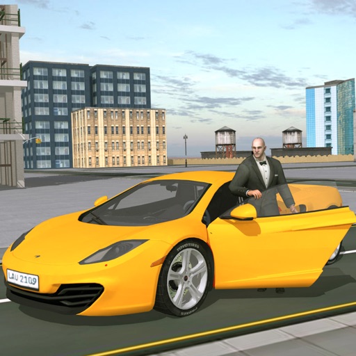 Car The Transporter Simulation 3d game