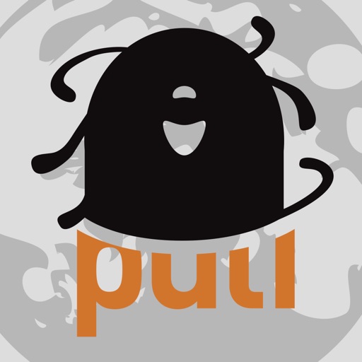 Puli Space