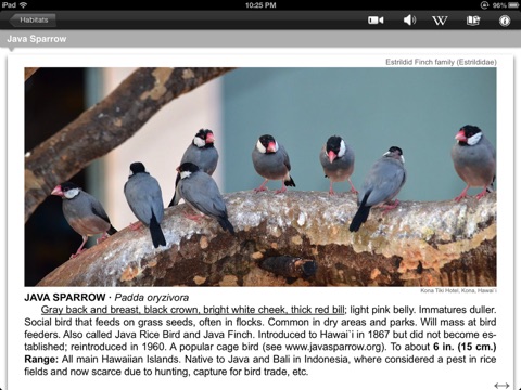 Bird ID Hawaii for iPad screenshot 2