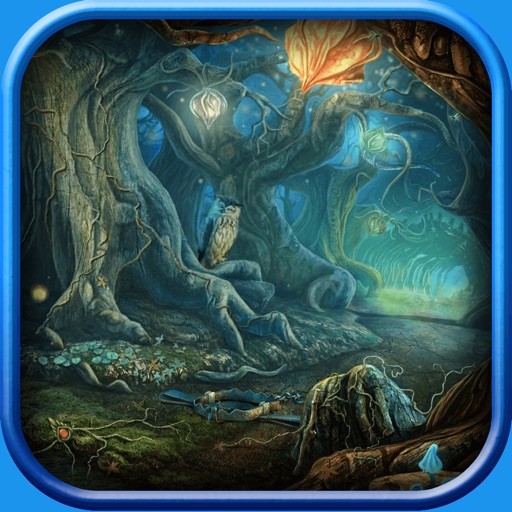 Adventure of Amazon Forest Hidden Objects icon
