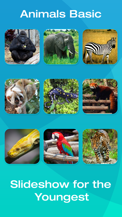 How to cancel & delete Safari and Jungle Animal Picture Flashcards for Babies, Toddlers or Preschool (Free) from iphone & ipad 2