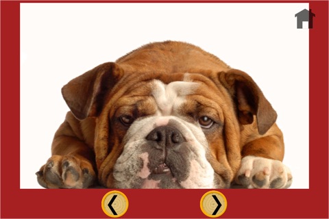 dogs and carnival shooting for kids - free game screenshot 4