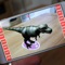 Virtual Dinosaur