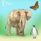 Wunderkind - world of animals - a nice puzzle game for toddlers and kids from ages 0 to 6 with lovely designed animals