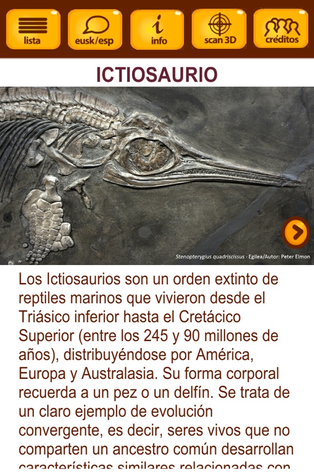 Museo Aumentado screenshot 2