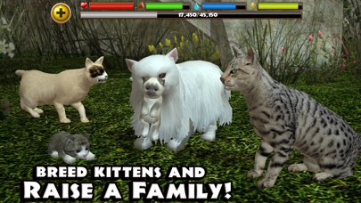 Stray Cat Simulator By Gluten Free Games Ios United States Searchman App Data Information - cute kitty roblox cute cats magic wings kitty