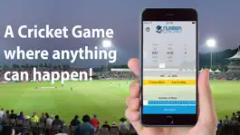 Game screenshot Number Cricket mod apk