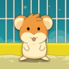 Hamster Jump Hero - Crazy Ball Bounce Wheel