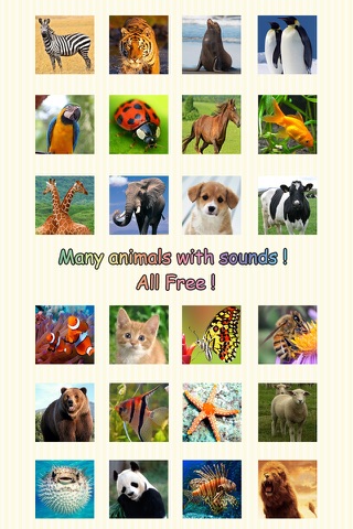 Animal Cards screenshot 2