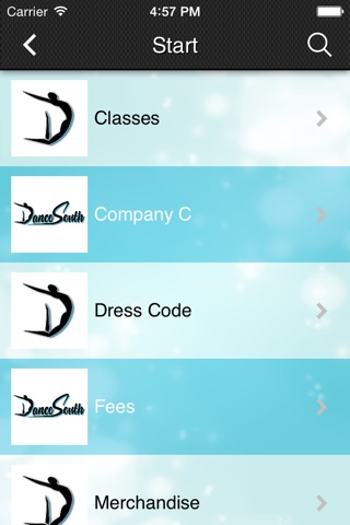 Dance South screenshot 2