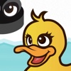 Ducks ´n´ Pucks