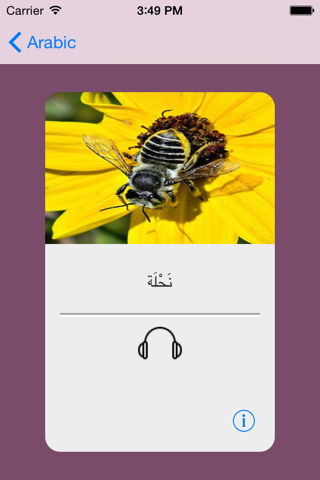 Learning Arabic 400 Basic Words screenshot 4