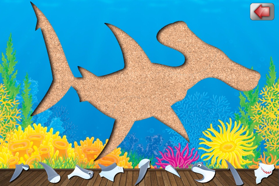 Ocean Animals screenshot 4