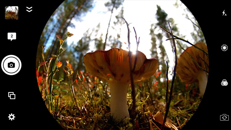 Fisheye Lens - Retro Style Fisheye Camera