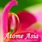 Atome Asia is Personal care, Health & Beauty e-store located in Singapore