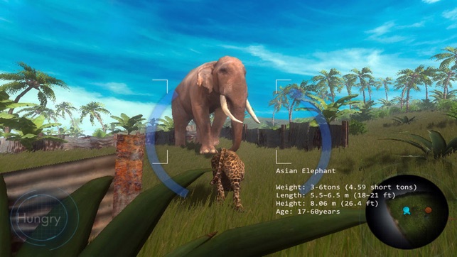 Wild Leopard Simulator 3D(圖1)-速報App