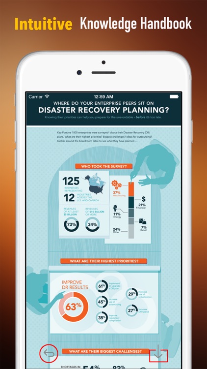 Business Disaster Planning and Risk Management Quick Reference: Dictionary with Video Lessons and Cheat Sheets