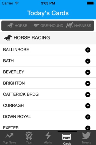 Racingbase screenshot 3