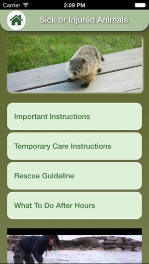 Wildlife Help - Toronto Wildlife Centre Rescue Injured, Sick(圖5)-速報App