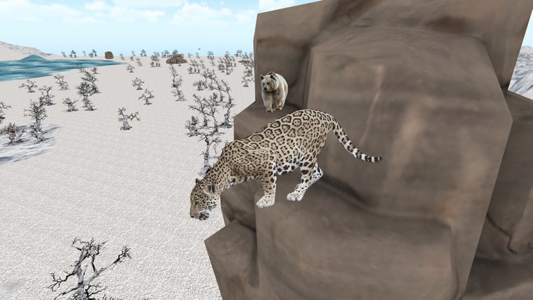 Snow Leopard Survival Attack -  Wild Siberian Beast Hunting Attack Simulation 2016