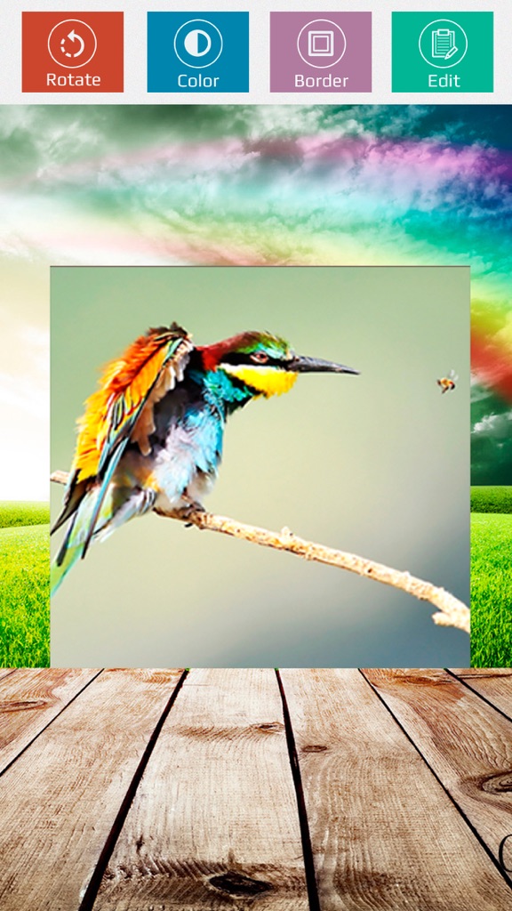 【图】Pikditor(截图3)