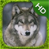 Wolf Simulator - HD