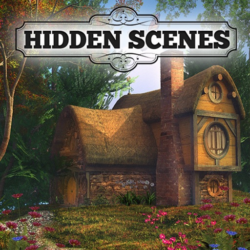 Hidden Scenes - The Storyteller iOS App