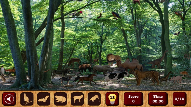 Forest Adventure Hidden Object