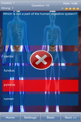 Human Physiology Quiz screenshot 3