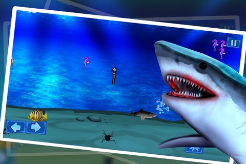 Shark Winter Emergency : The Ocean Underwater Fish Attack For Food - Gold screenshot 2